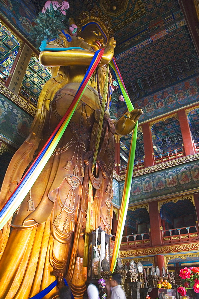 The 55 foot high sandalwood statue of Maitreya Buddha recorded in the Guiness Book of Records at Yonghe Gong Tibetan Buddhist Lama Temple, Beijing, China, Asia