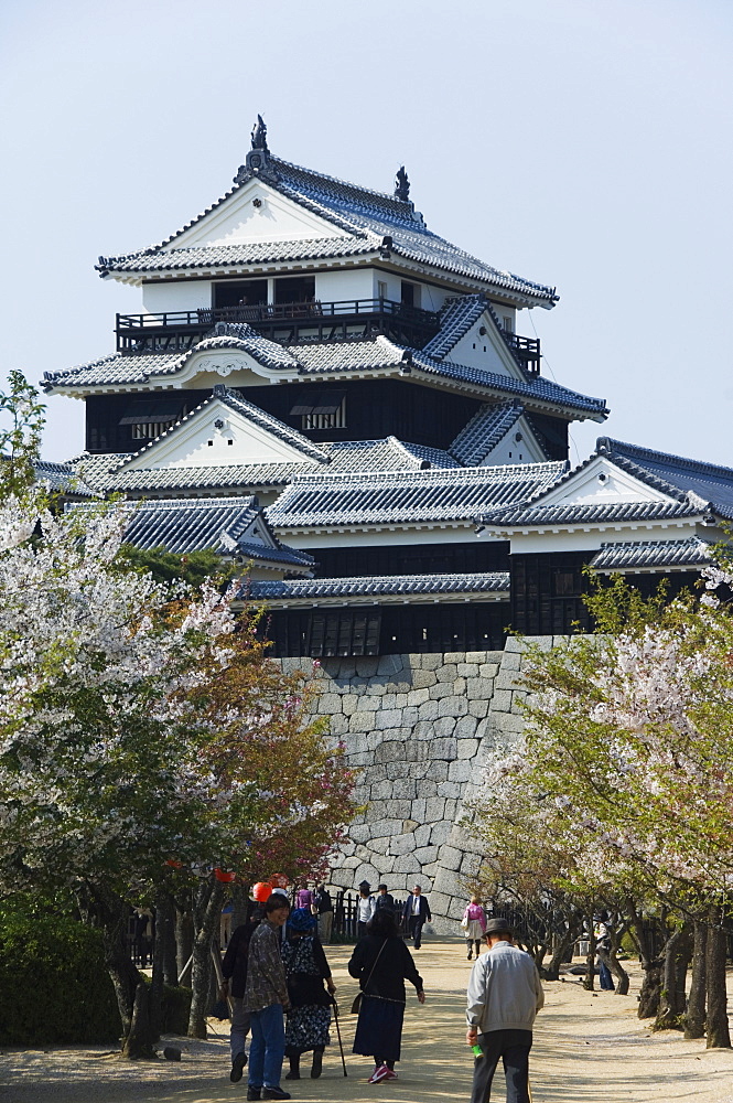 Matsuyama Castle, Honshu Island, Japan, Asia