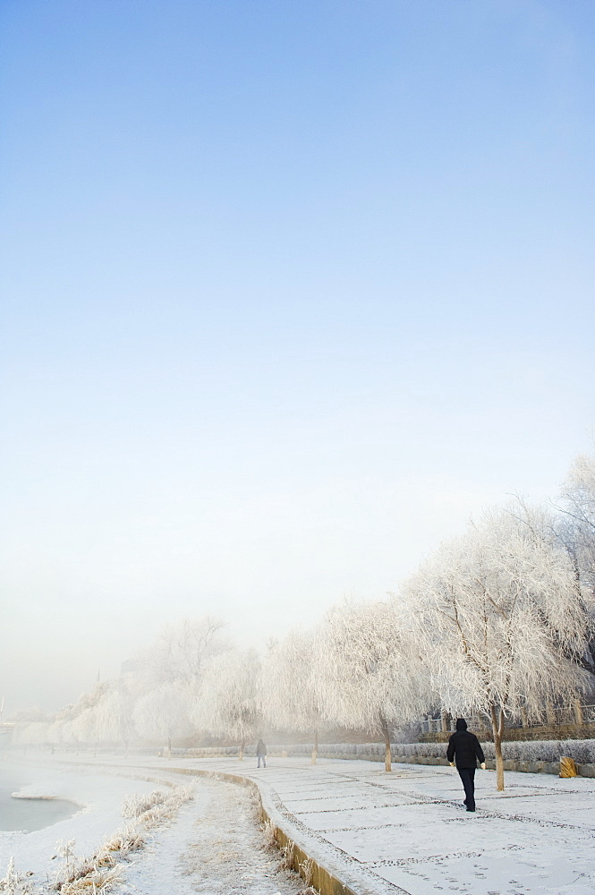 Mist rising off Songhua River and ice covered trees in winter, Jilin City, Jilin Province, Northeast China, China, Asia