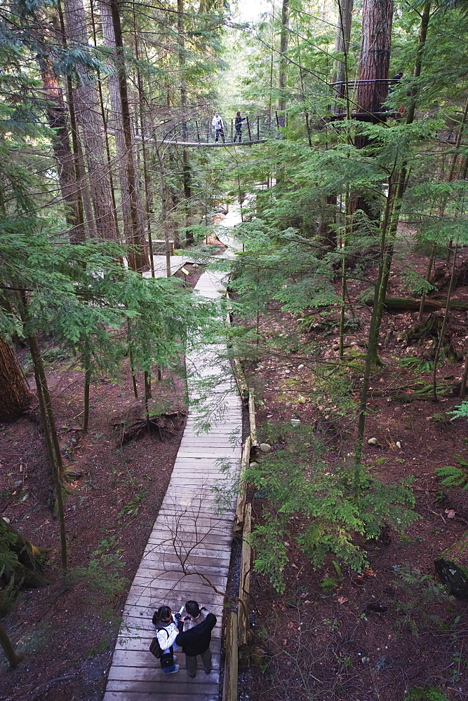 Tourists in Capilano Suspension Bridge and Park, Vancouver, British Columbia, Canada, North America