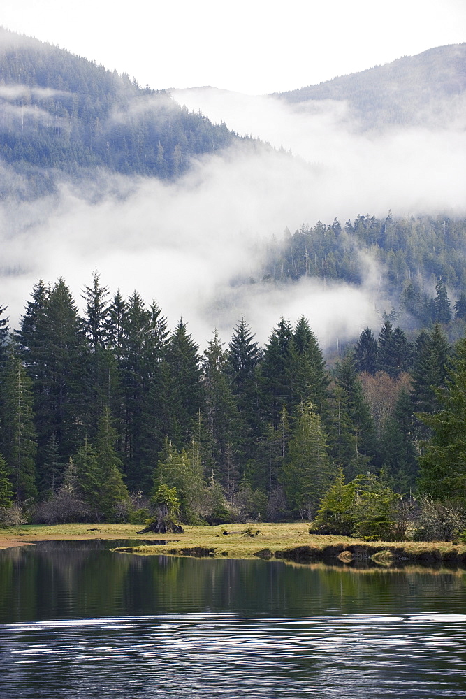 Morning mist at Port Renfrew, Vancouver Island, British Columbia, Canada, North America