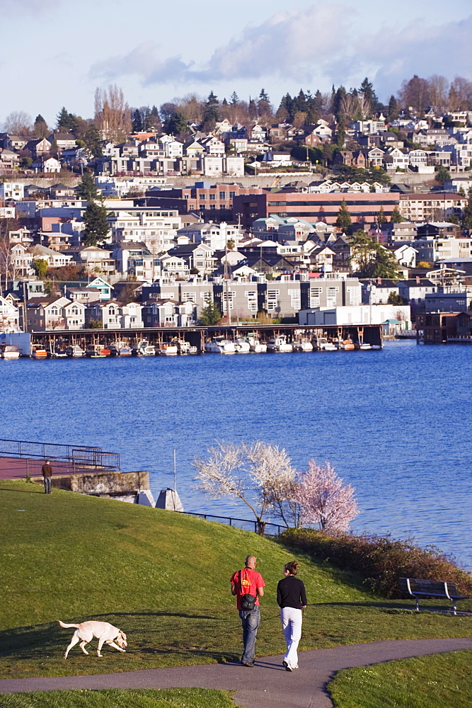 Residential houses on Lake Union from Gas Works Park, Seattle, Washington State, United States of America, North America