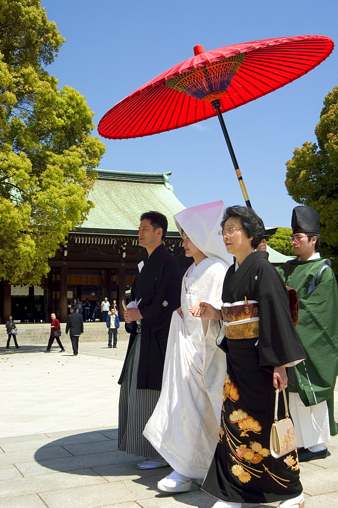 Traditional wedding ceremony, Meiji Jingu shrine, Tokyo City, Honshu Island, Japan, Asia