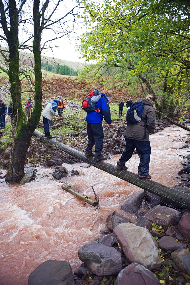 Hikers crossing a swollen river, Brecon Beacons National Park, South Wales, United Kingdom, Europe