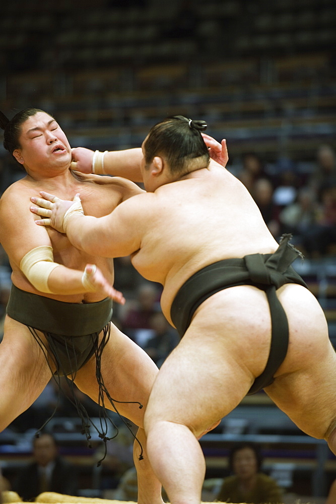 Fukuoka Sumo competition, Kyushu Basho, Fukuoka city, Kyushu, Japan, Asia