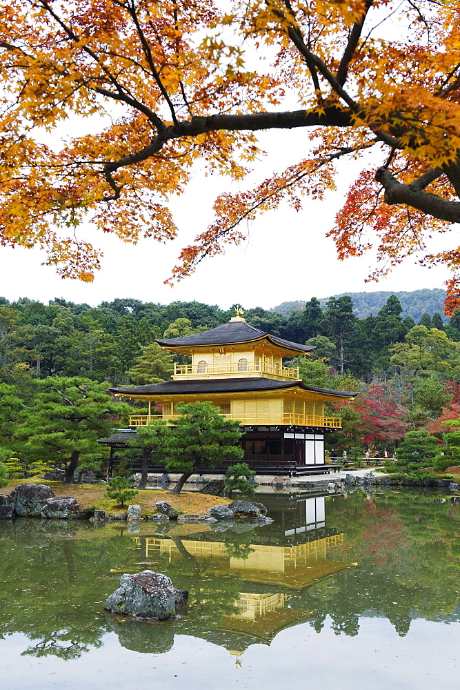 Autumn colour leaves, Golden Temple, Kinkaku ji (Kinkakuji), dating from 1397, Kyoto, Japan, Asia