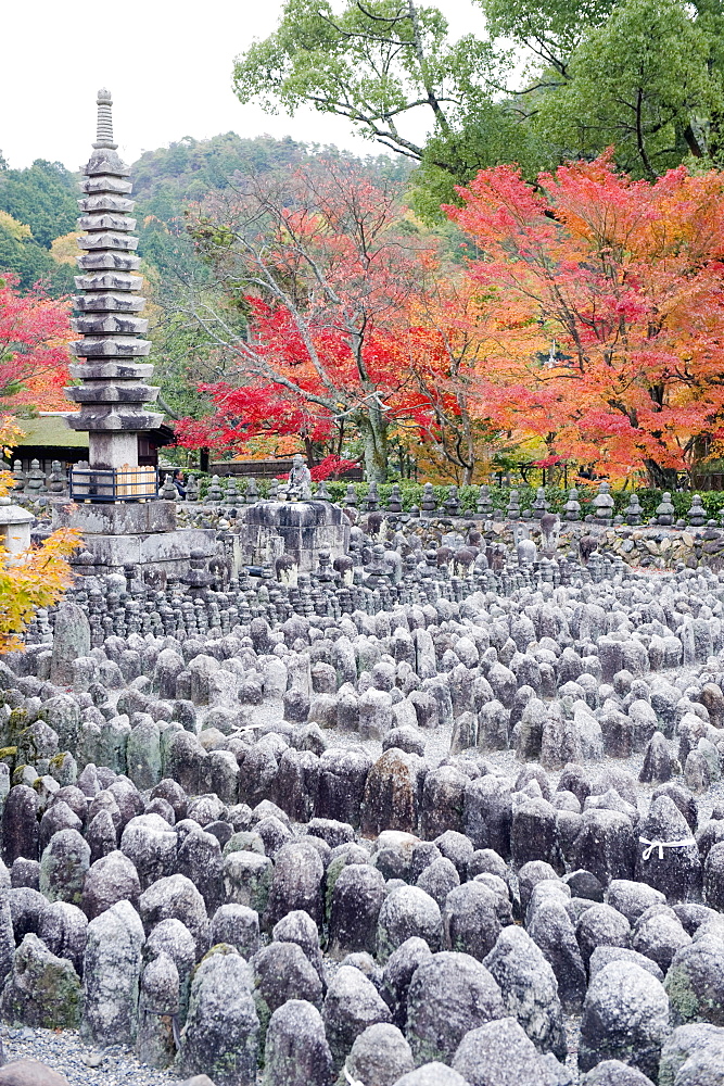 Jizo stone statues and autumn maple leaves at Adashino Nenbutsu dera temple, Arashiyama Sagano area, Kyoto, Japan, Asia