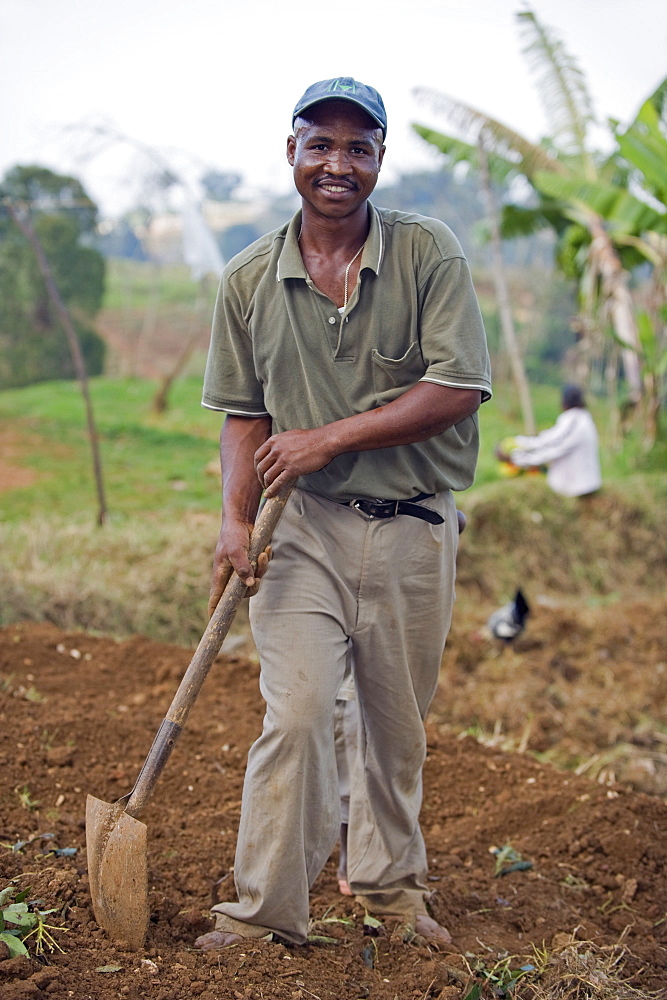 Farmer preparing his field, Kenscoff Mountains above Port au Prince, Haiti, West Indies, Caribbean, Central America