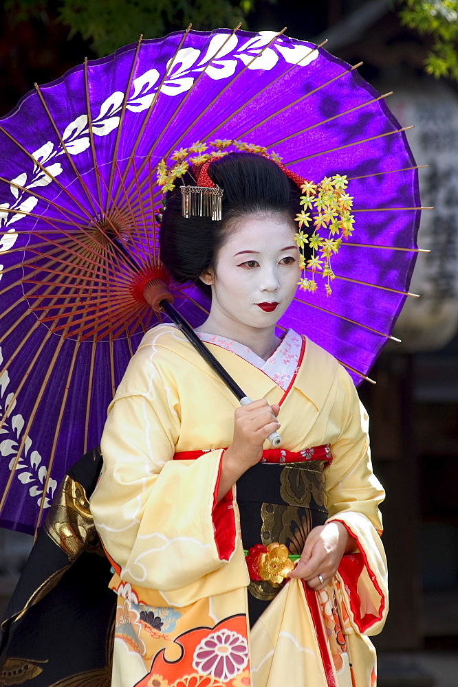 Geisha, maiko (trainee geisha) in Gion, Kyoto city, Honshu, Japan, Asia