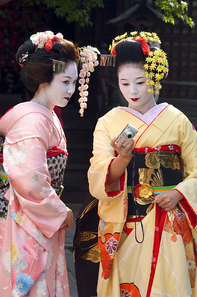 Geisha, maiko (trainee geisha) in Gion, Kyoto city, Honshu, Japan, Asia