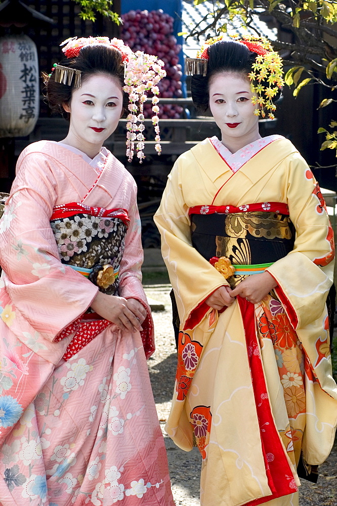 Geisha, maiko (trainee geisha) in Gion, Kyoto city, Honshu, Japan, Asia