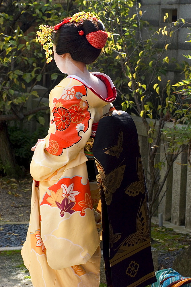 Geisha, Maiko in Gion, Kyoto city, Honshu, Japan, Asia