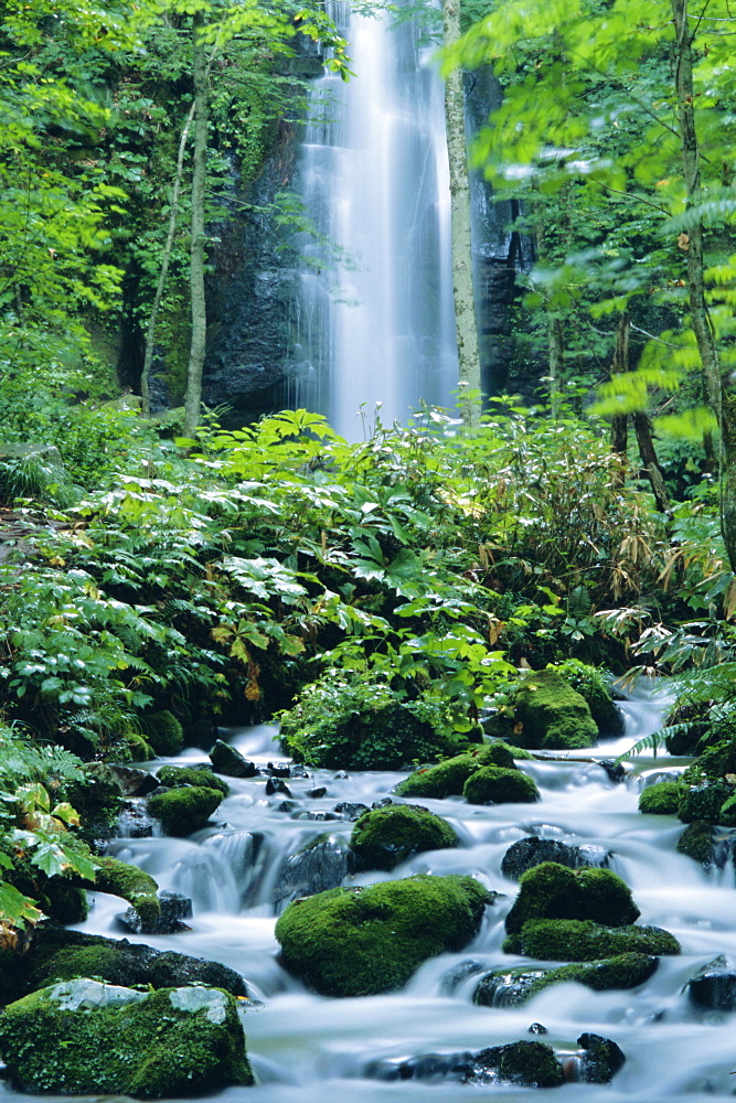 Oirase Valley waterfall, fed by Lake Towada-ko, Aomori, Northern Japan