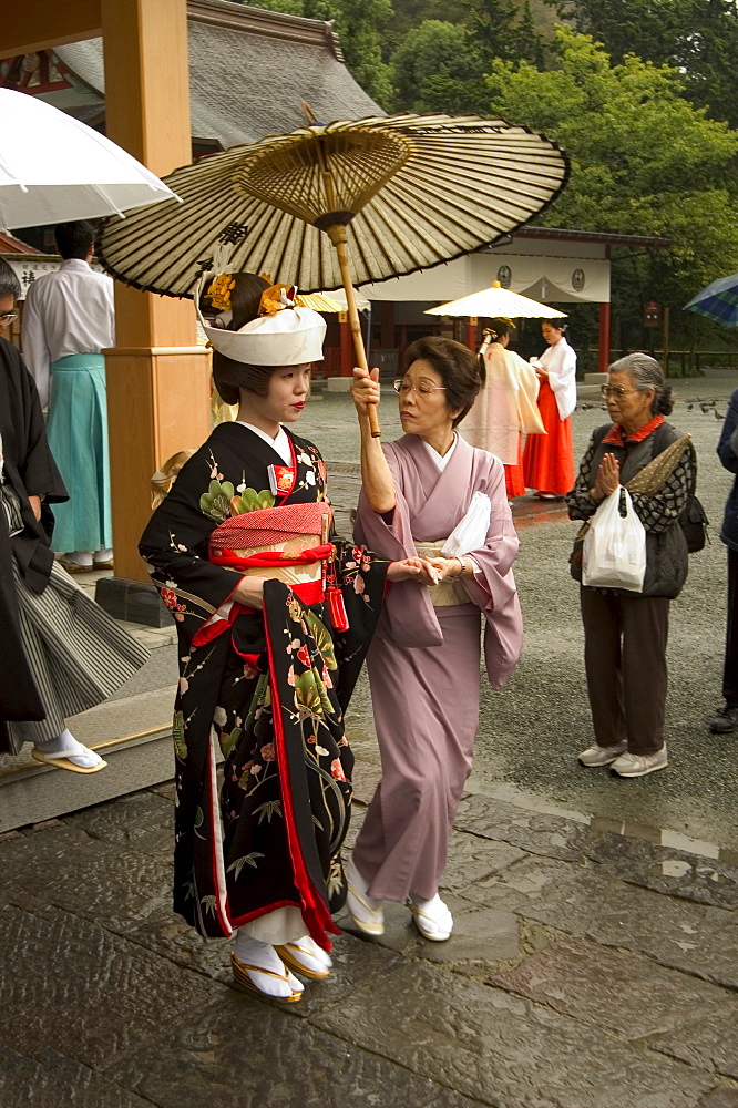 Hachimangu Shrine, Kamakura, southwest of Tokyo, Honshu, Japan, Asia