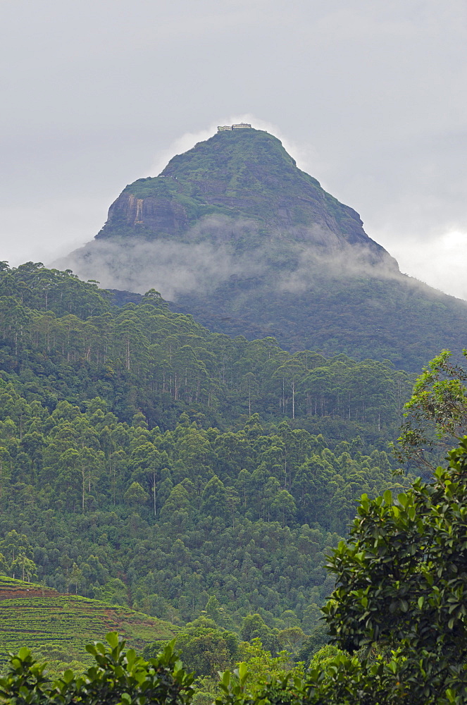 Adams Peak, Sri Lanka, Asia