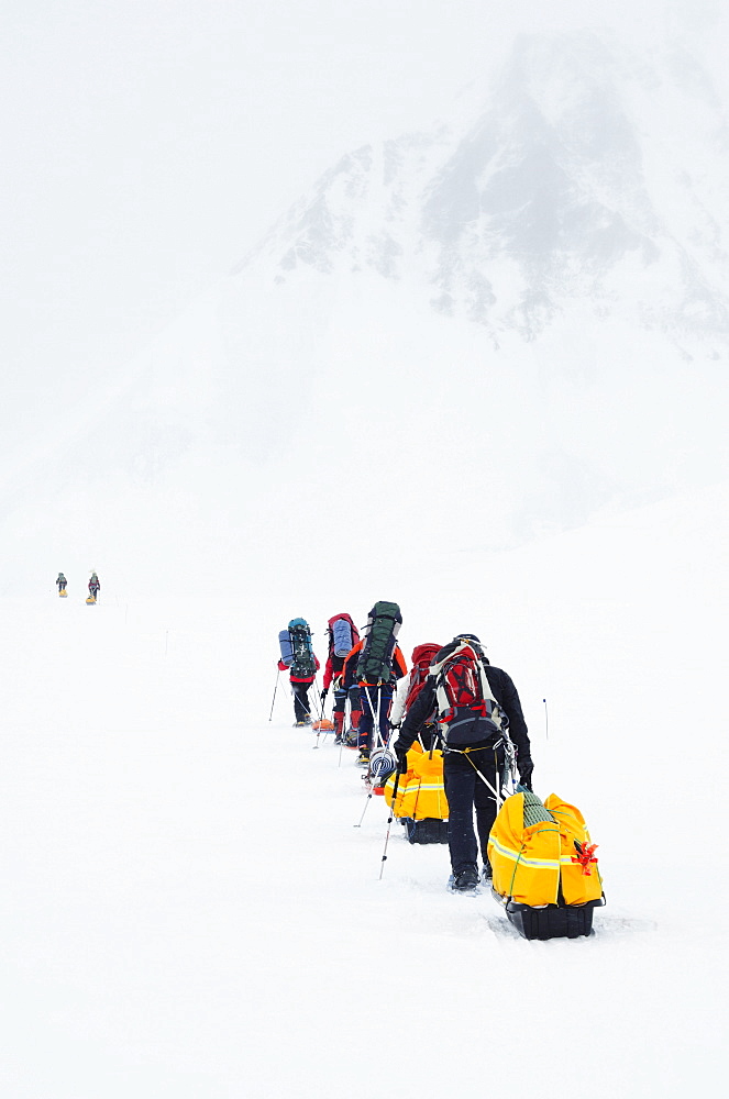 Climbing expedition on Mount McKinley, 6194m, Denali National Park, Alaska, United States of America, North America 