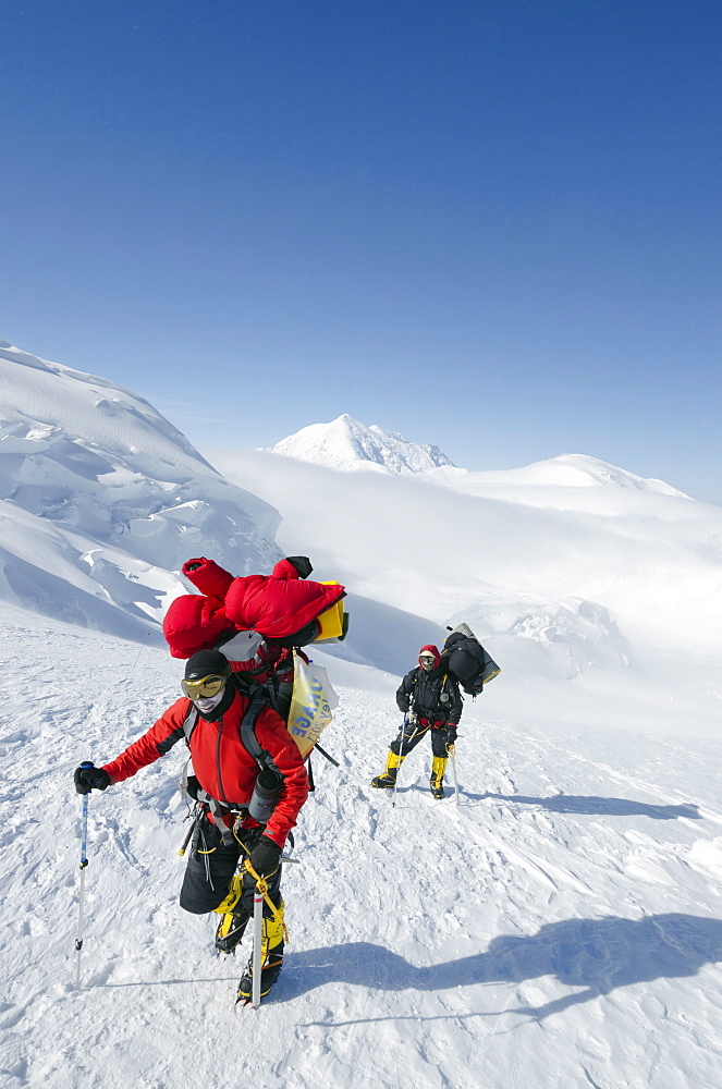 Climbing expedition on Mount McKinley, 6194m, Denali National Park, Alaska, United States of America, North America 