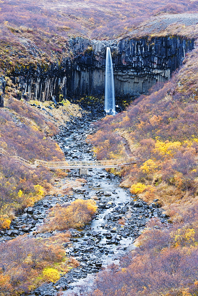 Svartifoss waterfall, Skaftafell National Park, Iceland, Polar Regions