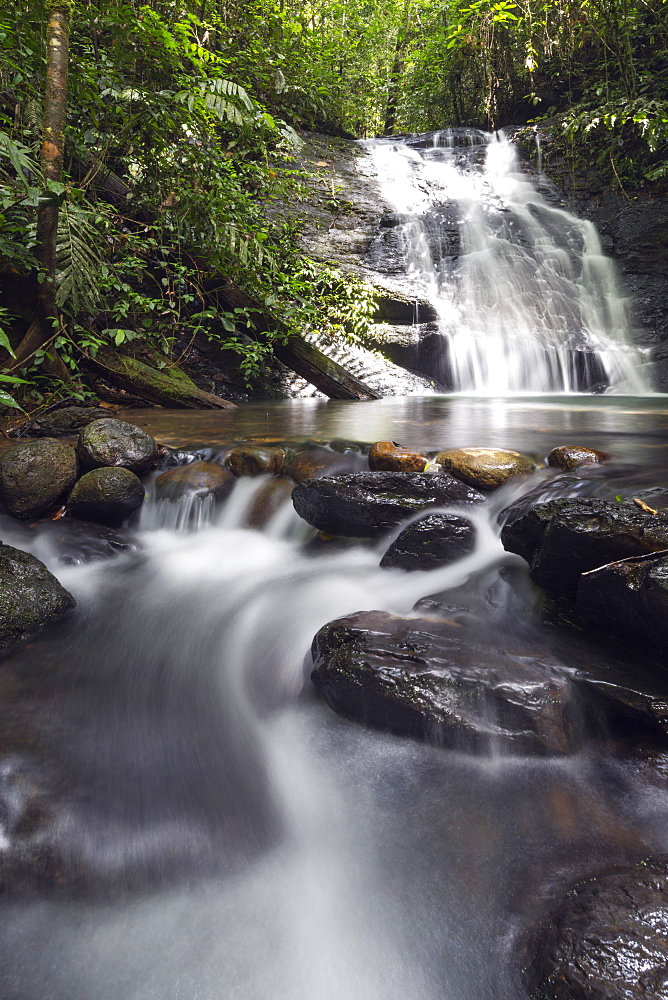 Ula Temburong National Park, Brunei, Borneo, Southeast Asia, Asia