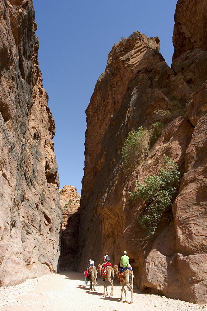 Camel ride in Petra, UNESCO World Heritage Site, Wadi Musa (Mousa), Jordan, Middle East