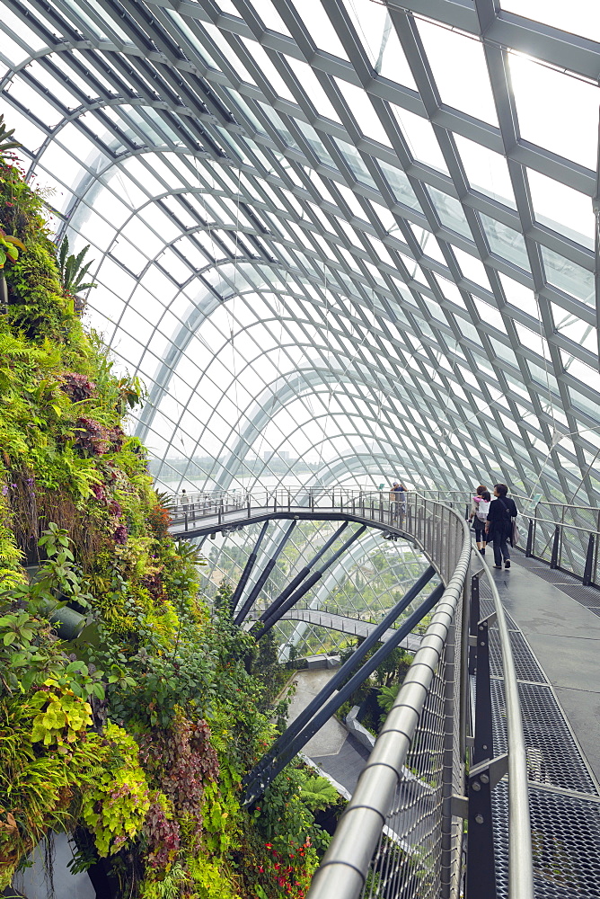 Canopy walkway, Gardens by the Bay, Cloud Forest, botanic garden, Singapore, Southeast Asia, Asia