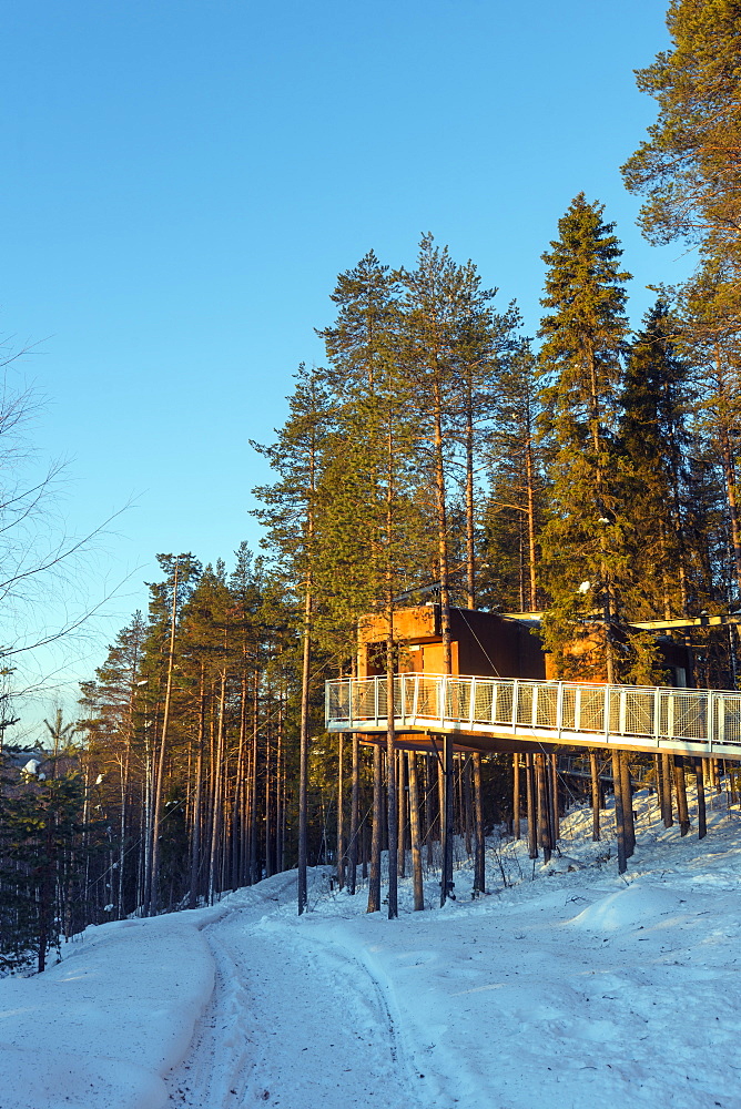 The Dragonfly room, The Tree Hotel, Lapland, Arctic Circle, Sweden, Scandinavia, Europe