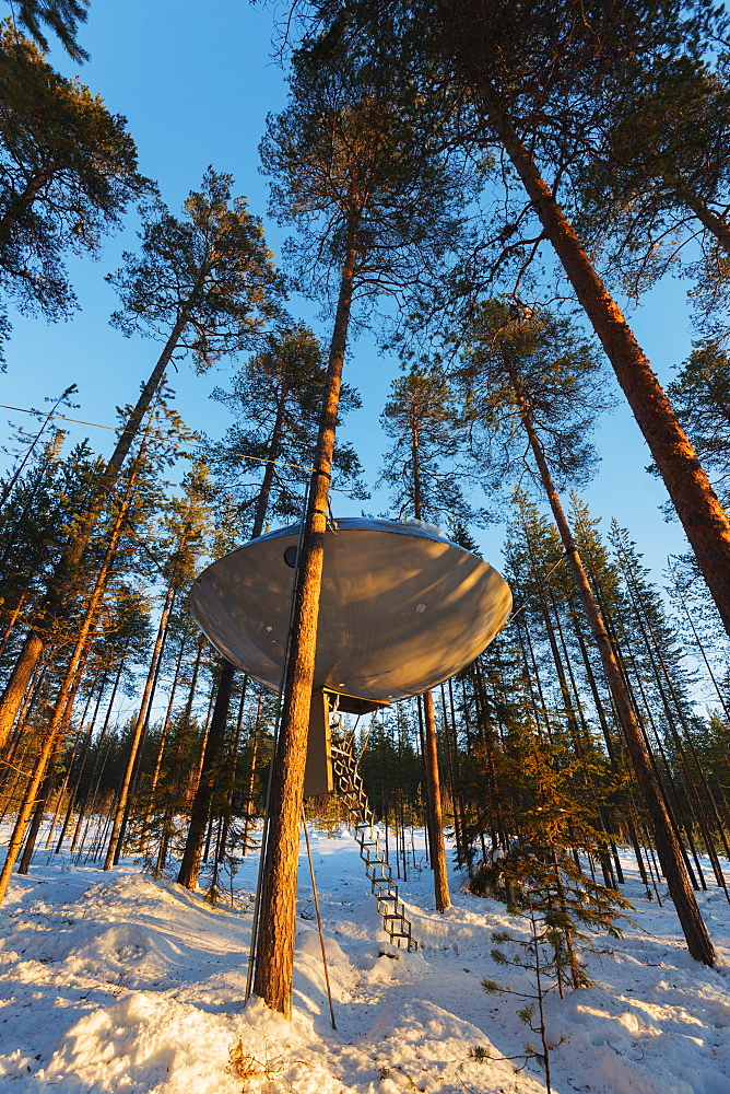 The UFO room, The Tree Hotel, Lapland, Arctic, Sweden, Scandinavia, Europe