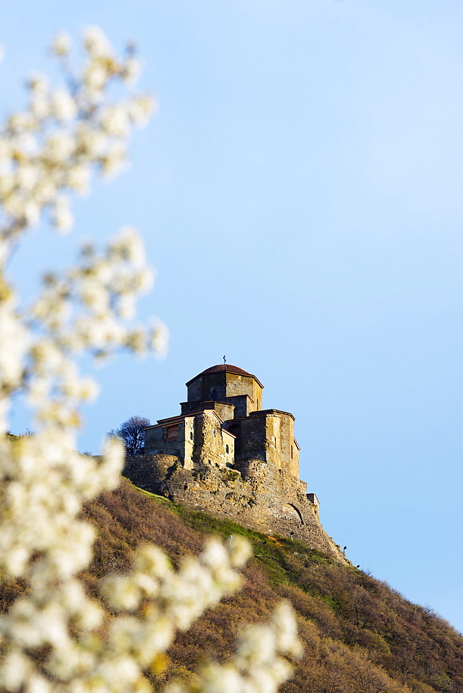 Jvari Church (Holy Cross Church),and spring blossom, Mtskheta, historical capital,UNESCO World Heritage Site, Georgia, Caucasus, Central Asia, Asia