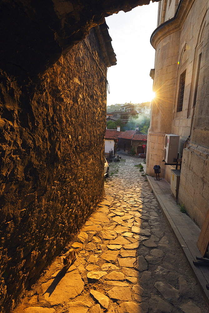 Alley cat at sunset, UNESCO World Heritage Site, Safranbolu, Central Anatolia, Turkey, Asia Minor, Eurasia