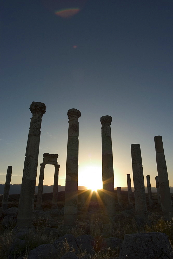 Archaelogical site, Apamea (Qalat at al-Mudiq), Syria, Middle East