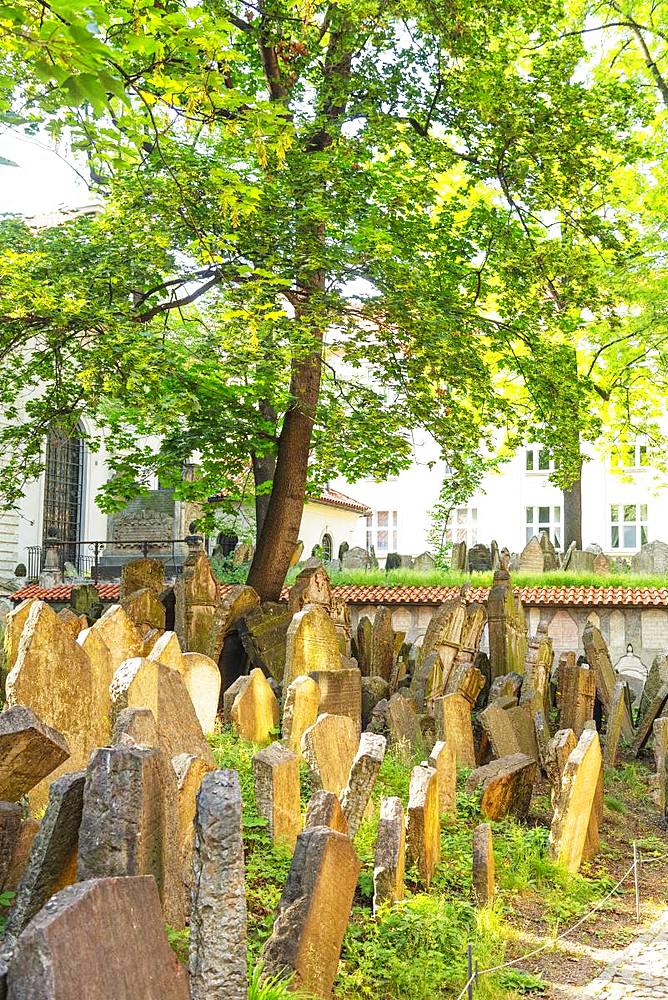 Jewish Cemetery, Prague, UNESCO World Heritage Site, Bohemia, Czech Republic, Europe