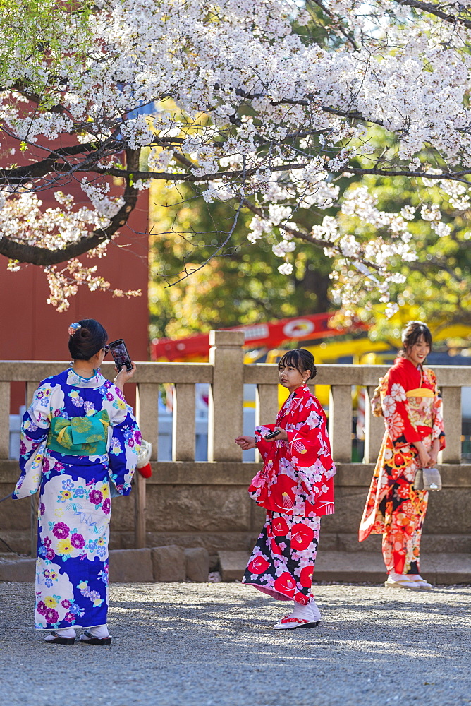 Women in kimonos, Sensoji Temple, Asakusa, Tokyo, Japan, Asia