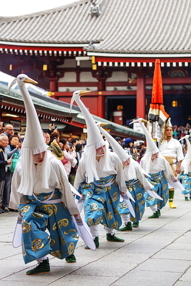 Hakucho White Swan (White Heron) festival, Sensoji Temple, Asakusa, Tokyo, Japan, Asia