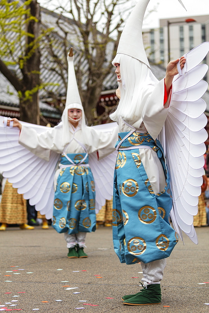 Hakucho White Swan (White Heron) festival, Sensoji Temple, Asakusa, Tokyo, Japan, Asia