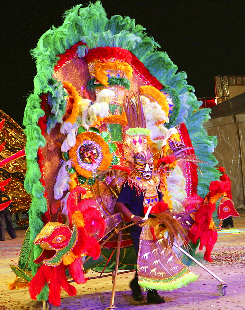 Chinese new year carnival, Hong Kong