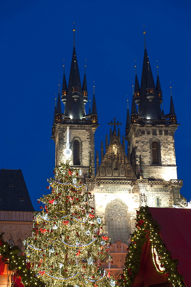 Christmas Tree and Tyn Gothic Church, Old Town Square, UNESCO World Heritage Site, Prague, Czech Republic, Europe 