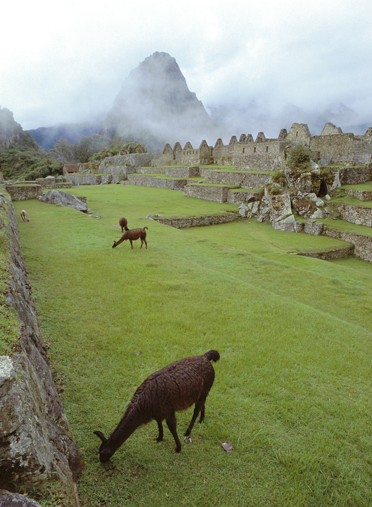 Inca ruins, Machu Picchu, UNESCO World Heritage Site, Peru, South America