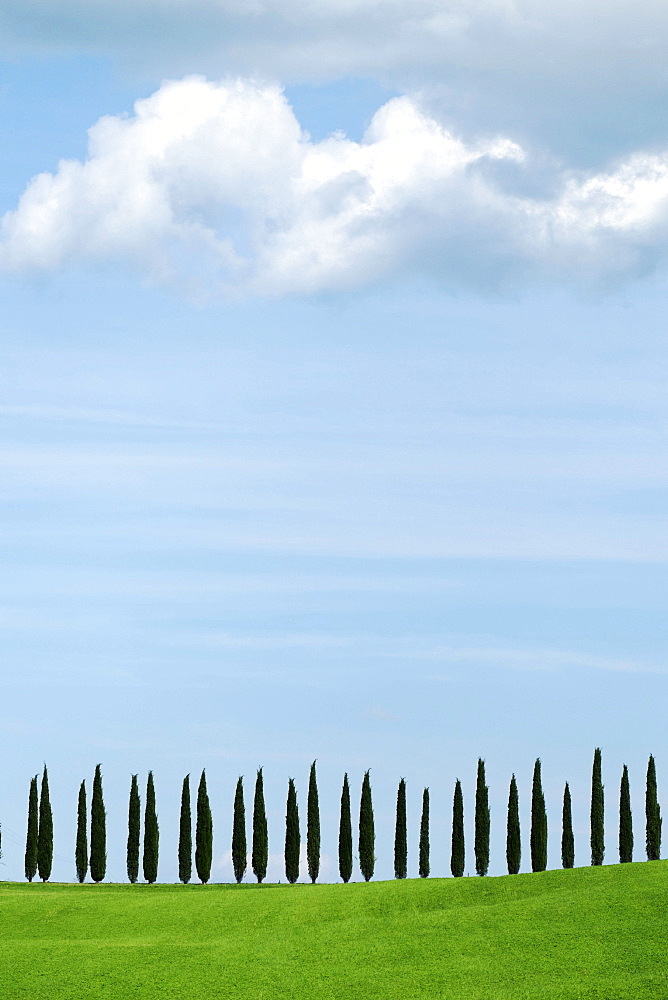 Val D'Orcia, UNESCO World Heritage Site, Tuscany, Italy, Europe