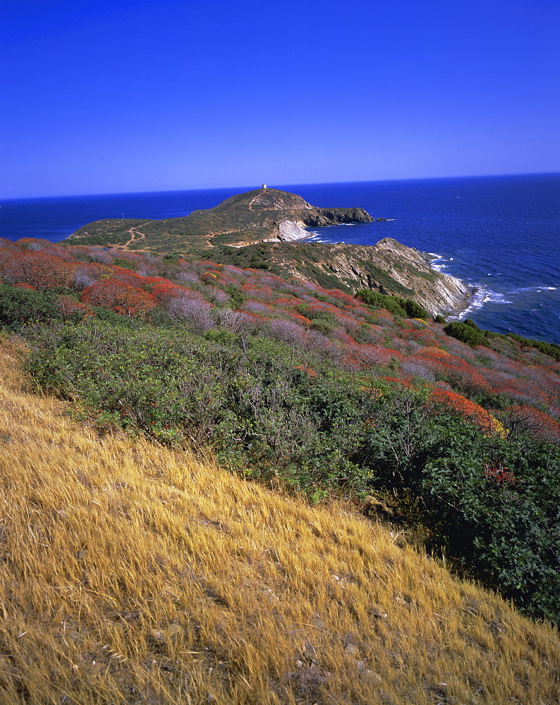 Capo Teulada, Mediterranean Sea, Sardinia, Italy, Europe