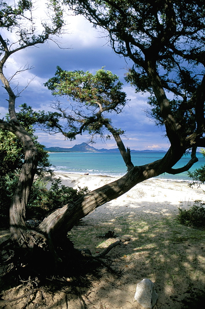 Southeast coast, island of Sardinia, Italy, Mediterranean, Europe