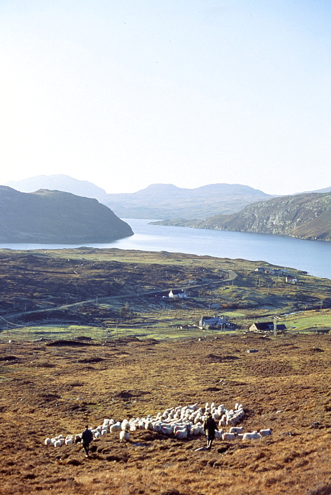 Island of Harris, Western Isles, Scotland, United Kingdom, Europe