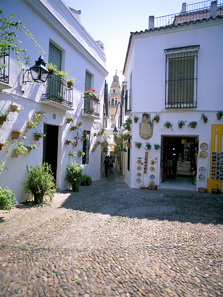 Cordoba, Andalucia (Andalusia), Spain, Europe