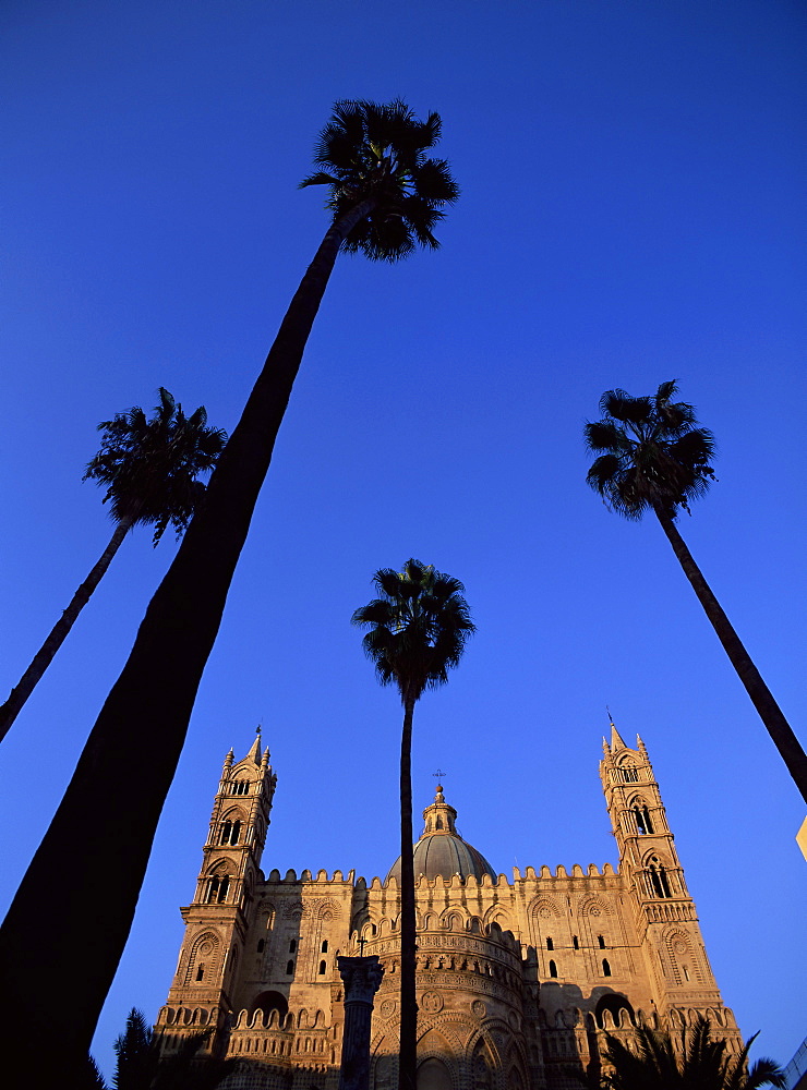 Christian cathedral and palm trees, Palermo, Sicily, Italy, Mediterranean, Europe