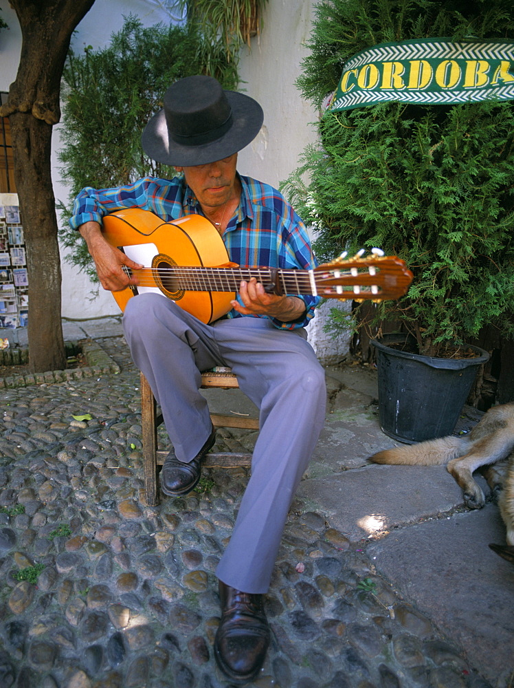 Man playing guitar, Cordoba, Andalucia (Andalusia), Spain, Europe