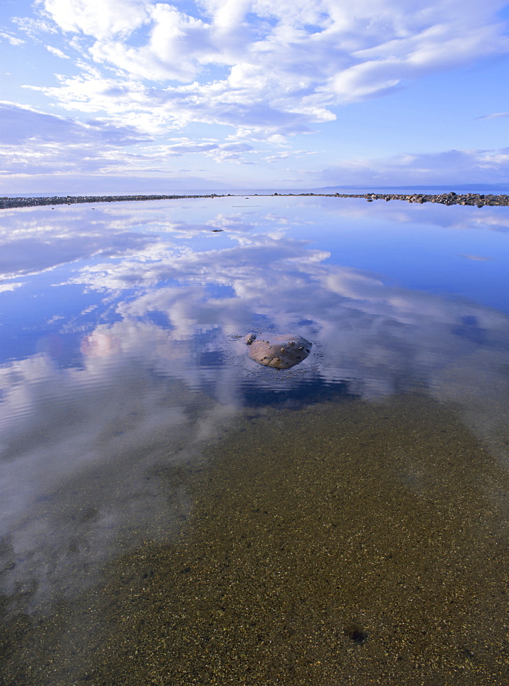 Reflection of clouds in water on the beach, Queen Charlotte Islands, British Columbia (B.C.), Canada, North America