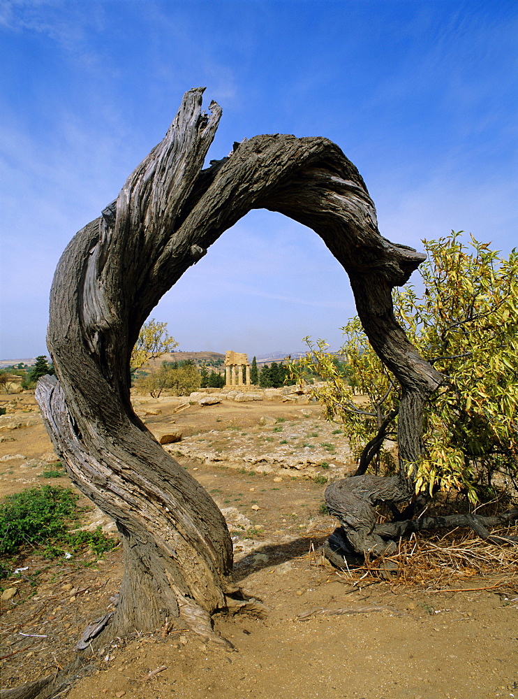 Agrigento, UNESCO World Heritage Site, Sicily, Italy, Mediterranean, Europe