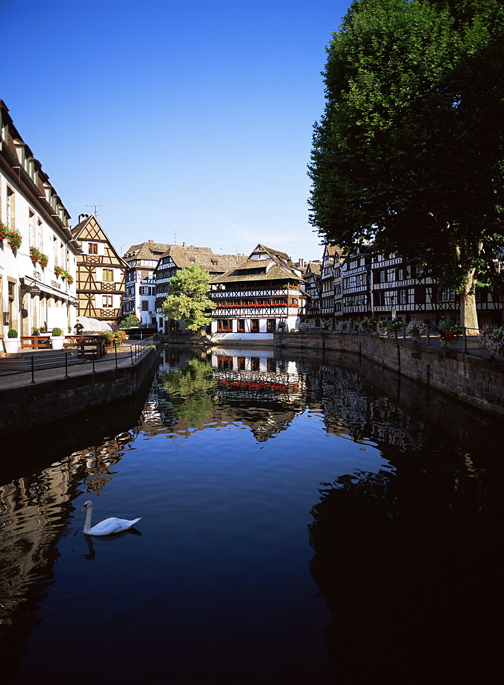 Strasbourg, Bas-Rhin department, Alsace, France, Europe