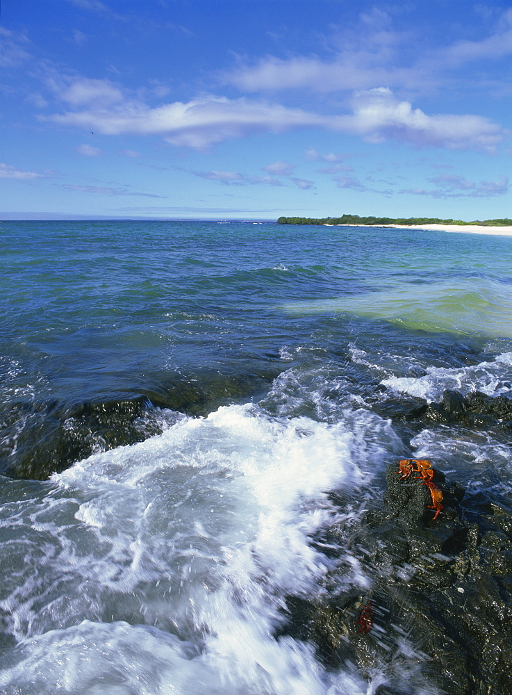 St. James, largest island in the group, Galapagos Islands, Ecuador, South America