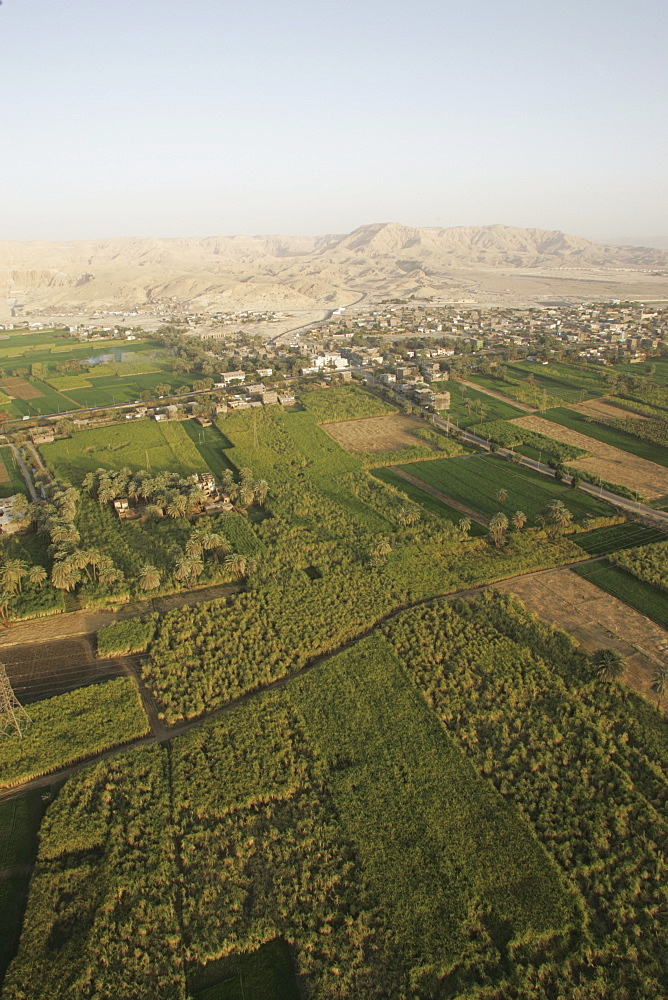 Fields along the Nile, near Luxor, Egypt, North Africa, Africa