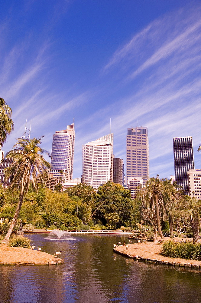 Royal Botanic Gardens, Sydney, New South Wales, Australia, Pacific